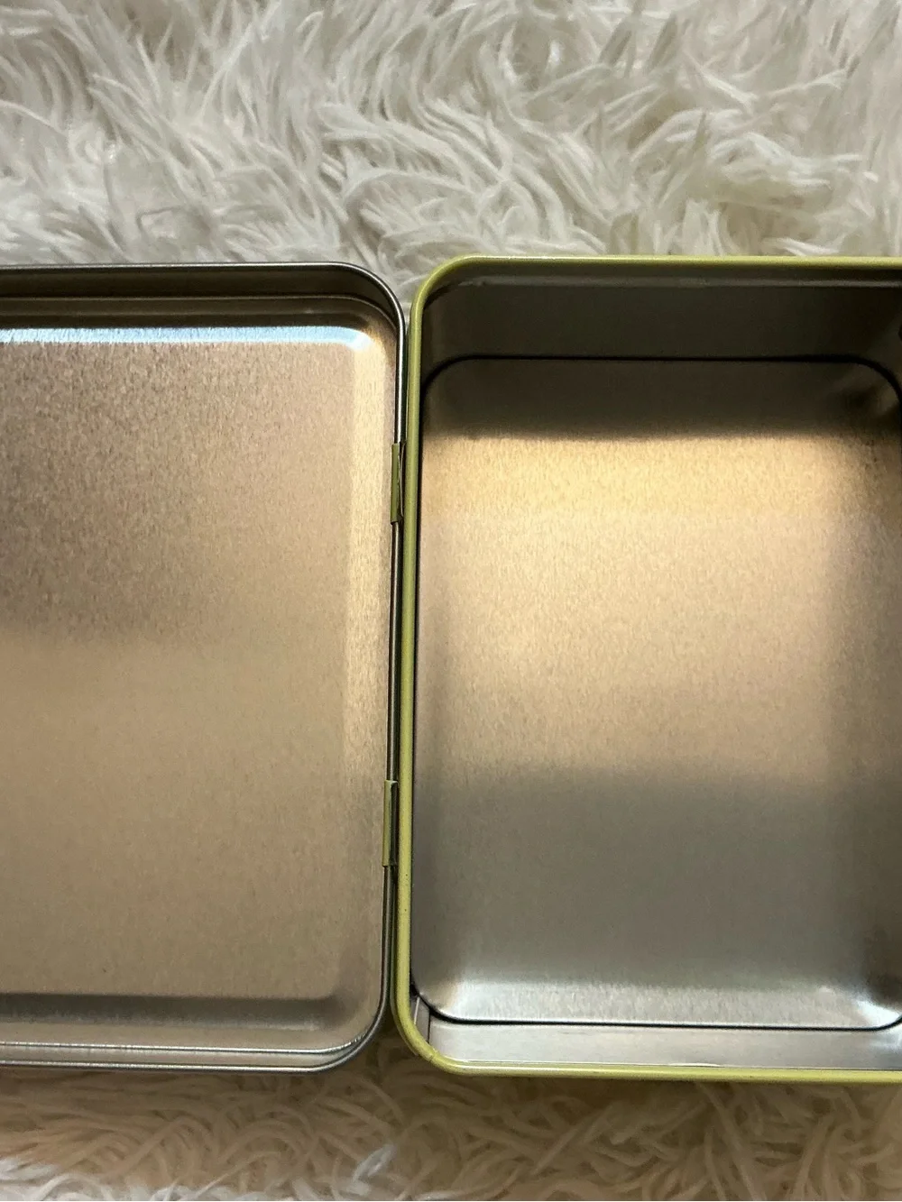 Nickelodeon Garfield and Odie Mini Tin Metal Lunch Box Storage Case